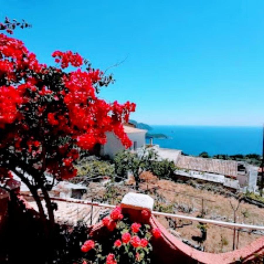 Traditional Panoramic Sea View House Lákones المظهر الخارجي الصورة